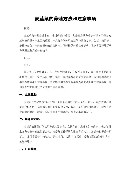 麦蓝菜的养殖方法和注意事项