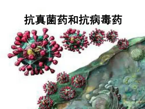 抗真菌抗病毒ppt课件