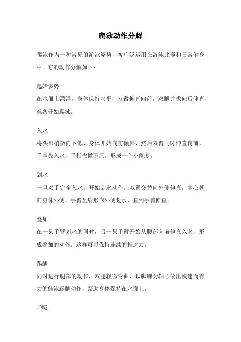 爬泳动作分解