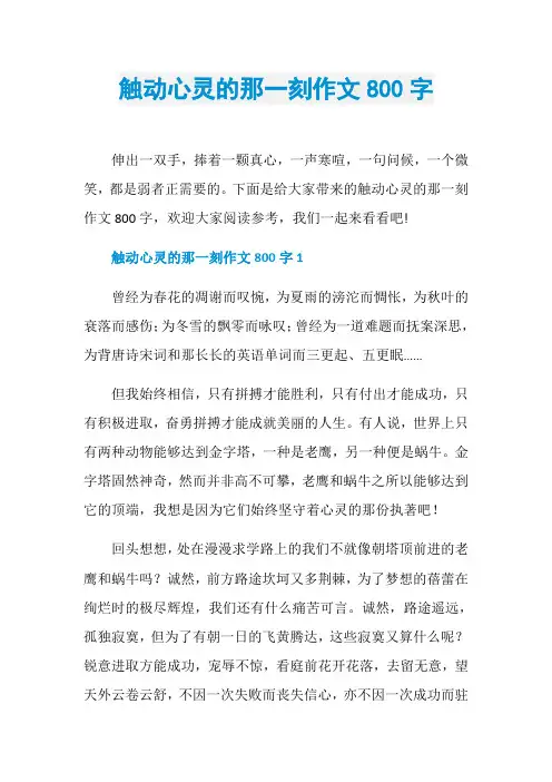 触动心灵的那一刻作文800字