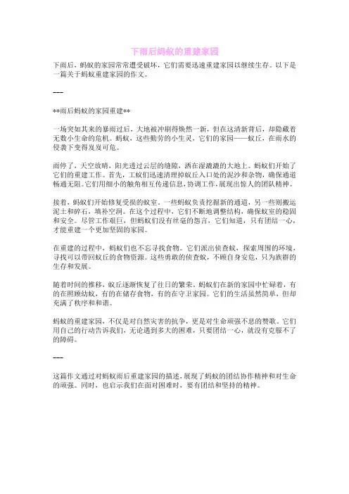 下雨后蚂蚁的重建家园