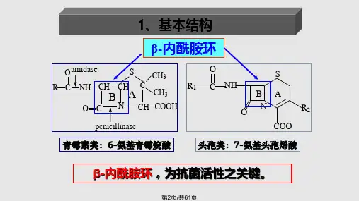 药理学之内酰胺类抗生素