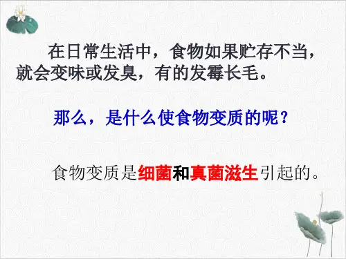 七年级下科学《细菌和真菌的繁殖》上课课件PPT浙教版