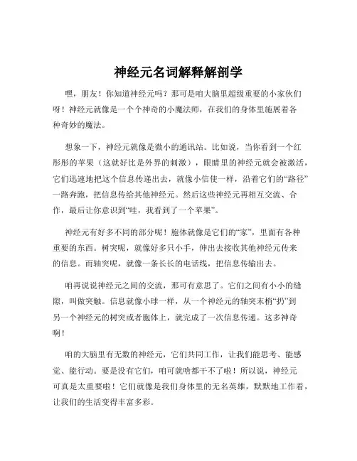 神经元名词解释解剖学