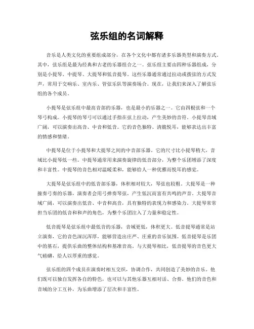 弦乐组的名词解释