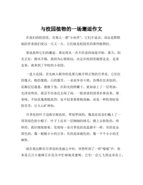 与校园植物的一场邂逅作文