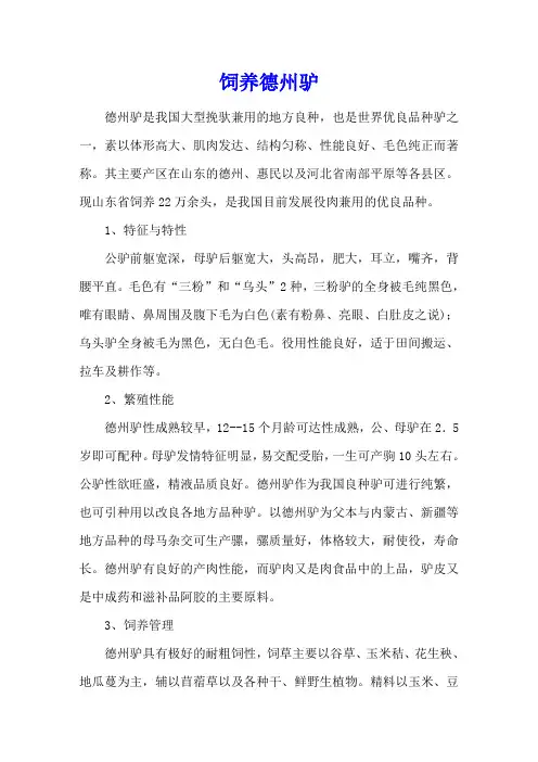 饲养德州驴