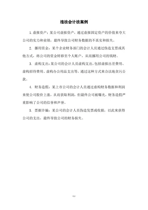 违法会计法案例