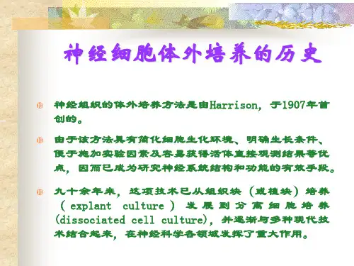 医学课件神经细胞体外培养方法及应用