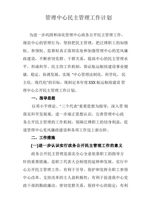 中心民主管理工作计划