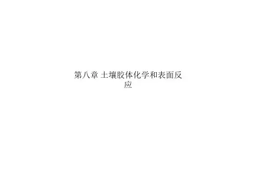 第八章 土壤胶体化学和表面反应