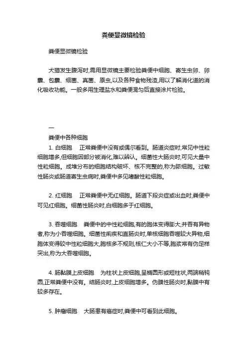 粪便显微镜检验