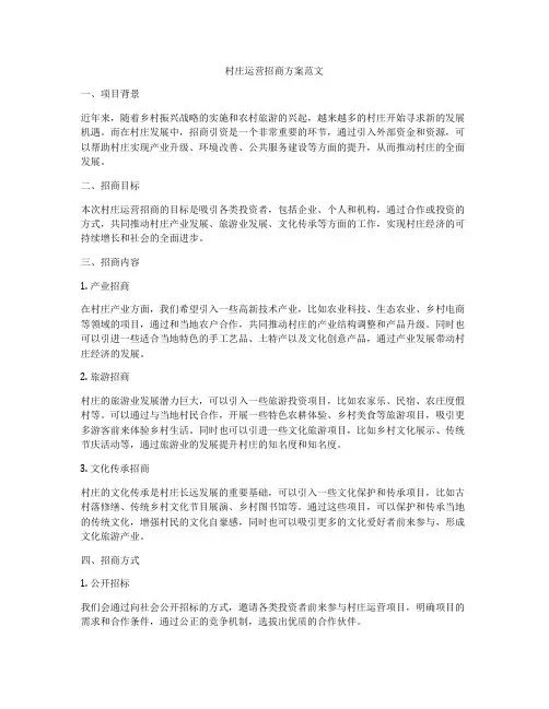 村庄运营招商方案范文