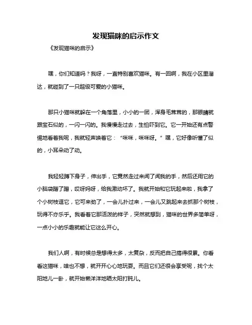 发现猫咪的启示作文