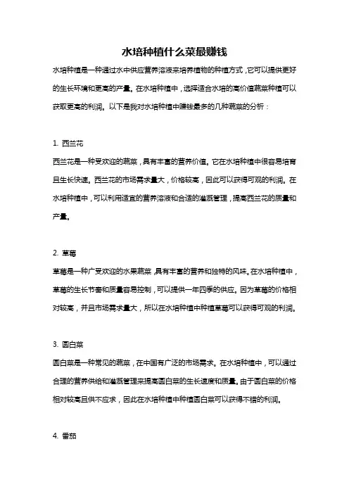 水培种植什么菜最赚钱