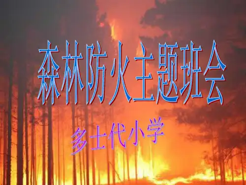 森林防火主题班会课件  ppt课件