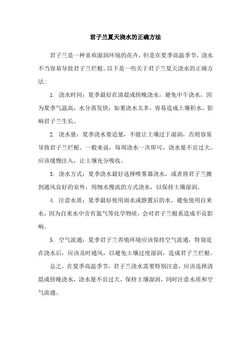君子兰夏天浇水的正确方法