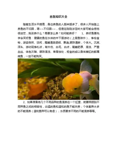 养鱼知识大全