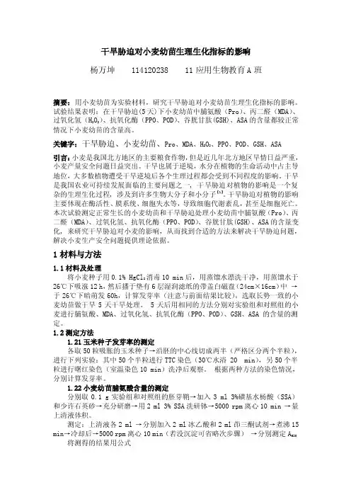 干旱胁迫对小麦幼苗的影响