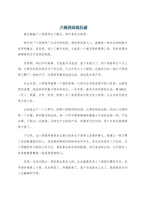 六格西码观后感