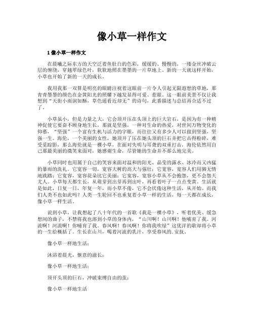 像小草一样作文