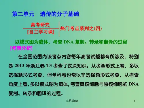 高考生物一轮复习 第二单元 遗传的分子基础热门考点系列之课件 浙教版必修2 (2)