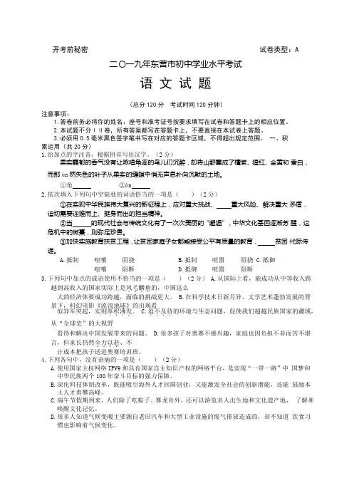 2019年山东省东营市中考语文试题(含答案)