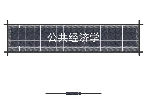(新)公共经济学导论精品PPT课件