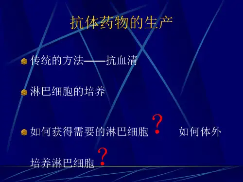 抗体制药最新PPT课件