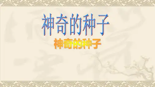 神奇的种子PPT课件