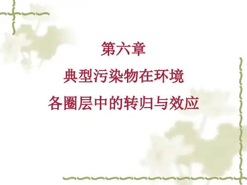 典型污染物在环境各圈层中的迁移转化-PPT