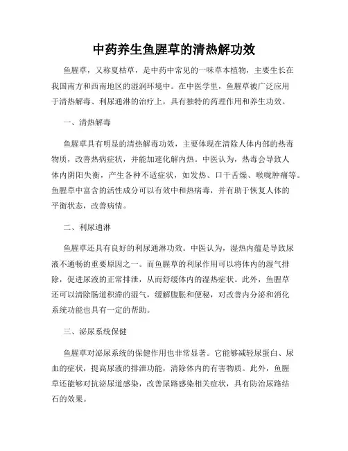 中药养生鱼腥草的清热解功效