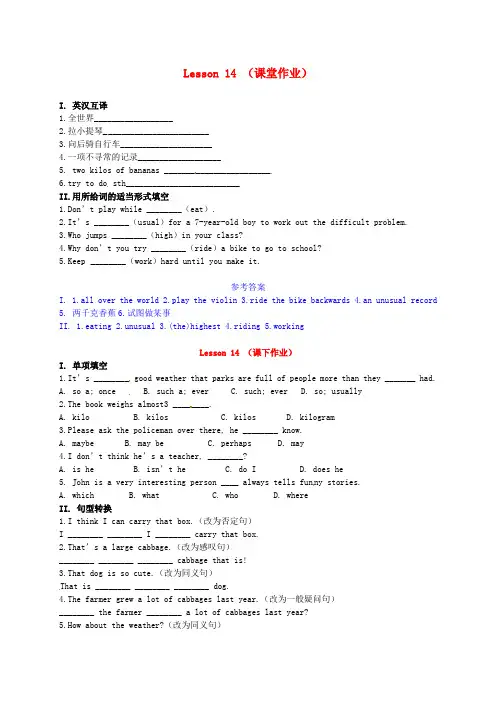九年级英语上册 Unit2 Lesson14课时训练 冀教版