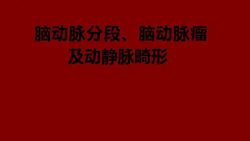 脑动脉分段、动脉瘤、动静脉畸形