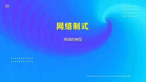 网络制式    