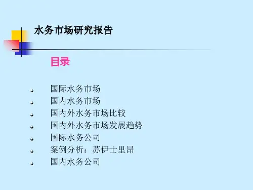水务行业研究报告课件