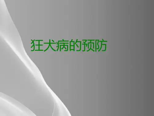 人教版初中生物八上-5.5-科学·技术·社会-狂犬病病毒-狂犬病的预防-课件-(共22张PPT)