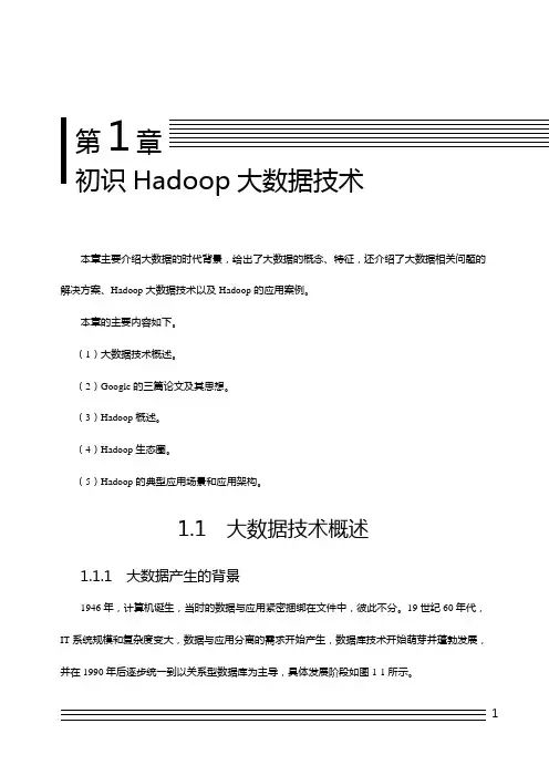 01第一章 初识Hadoop大数据技术