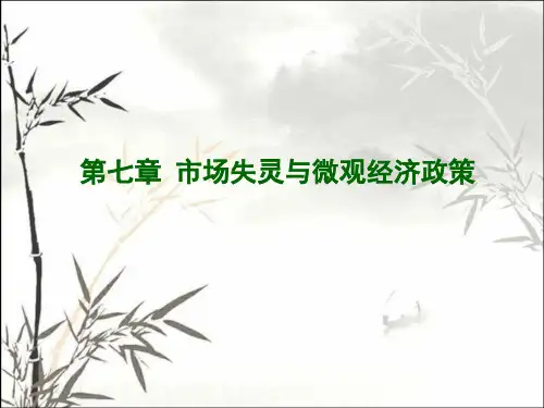 市场失灵与微观经济政策 PPT课件