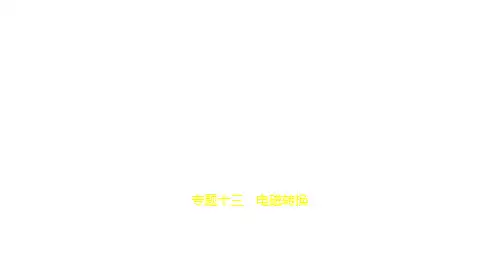 2021年江苏中考物理复习练习课件：13专题十三 电磁转换