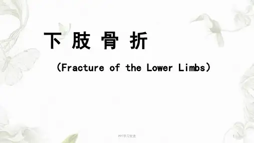 下肢骨折教学幻灯PPT课件
