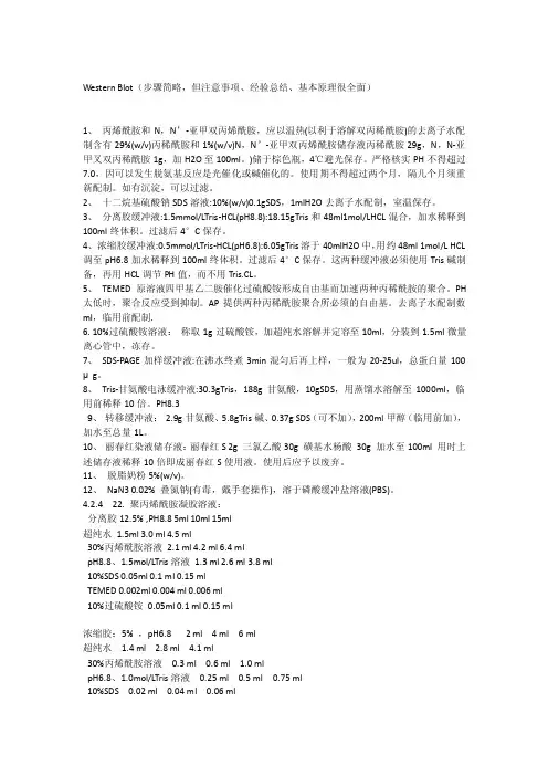 WesternBlot（步骤简略,但注意事项经验总结基本原理很全面）