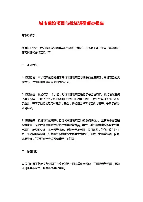 城市建设项目与投资调研督办报告