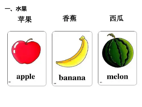 常用英语单词图片大全完全版