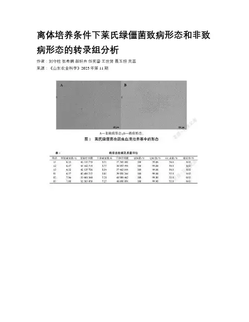 离体培养条件下莱氏绿僵菌致病形态和非致病形态的转录组分析