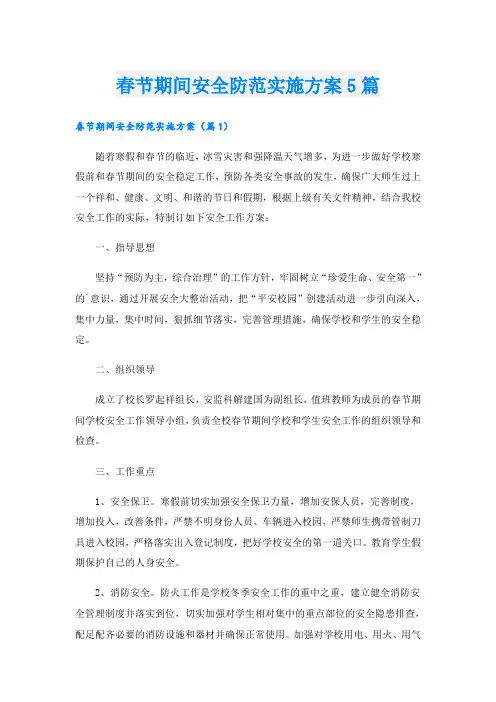 春节期间安全防范实施方案5篇