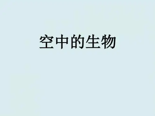 苏科版生物七年级下册5.12.1鸟类 课件(共26张PPT)