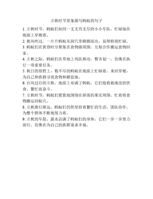 立秋时节景象描写蚂蚁的句子