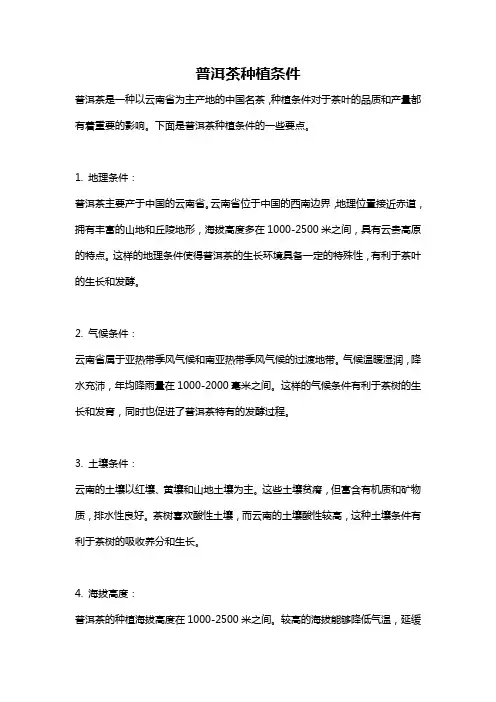 普洱茶种植条件