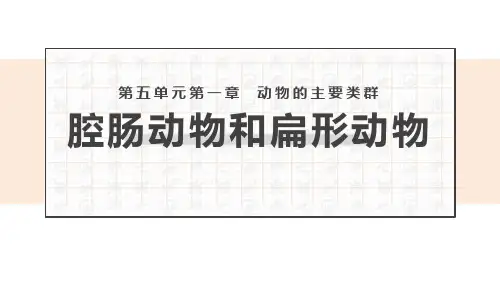 《腔肠动物和扁形动物》PPT免费课件